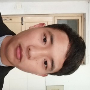 给你半颗心