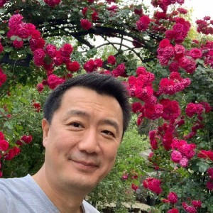汤唯