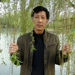 洁净的面包