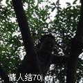 心之所向11