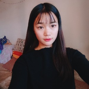 丛林的猫