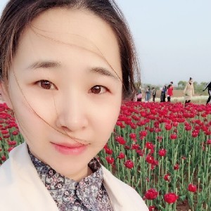 Ho佛系少女