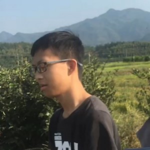 来个长期