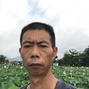 飘飘的枫