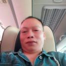 杨雄