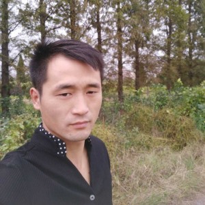 董辉