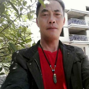 炙热的龙猫