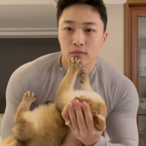 反凡子