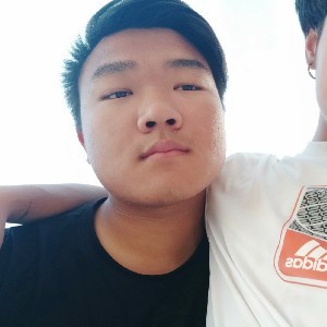 凶狠的纸鹤