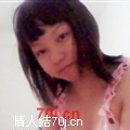 蔷薇梦韵