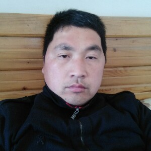 属羊