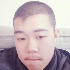 灵巧的柠檬