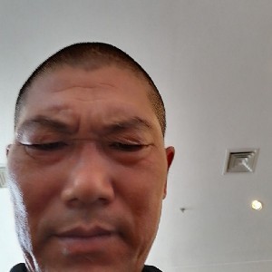 感性的纸鹤