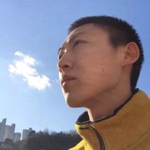 椰子壳
