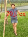 小波菜