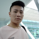 非洲小毛驴