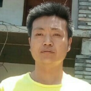 无奈的猎豹