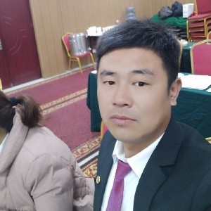 帅气的海燕