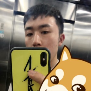 斯果诶