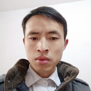 活泼的斑马