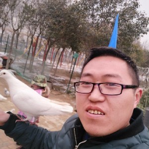 波哥呀