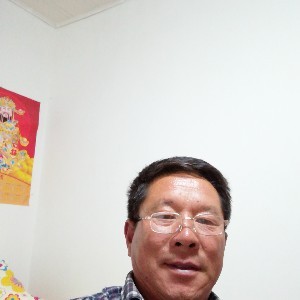 标致的太阳