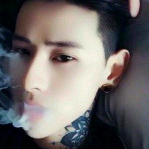 烨少公子