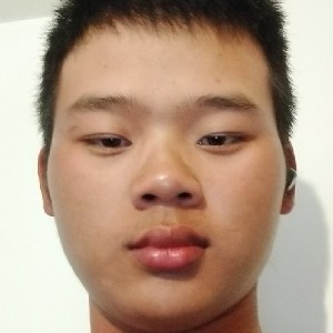 活泼的小刺猬