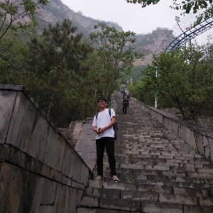 简单明了111