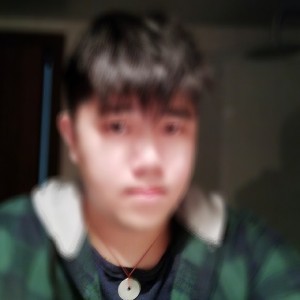 wingsWi