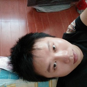 务实的羽毛
