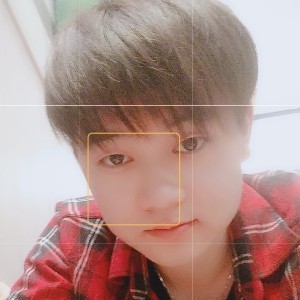 低迪底弟