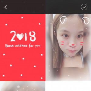 不吃草的兔子