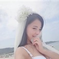 飘零的雪