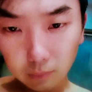 疯狂的树叶