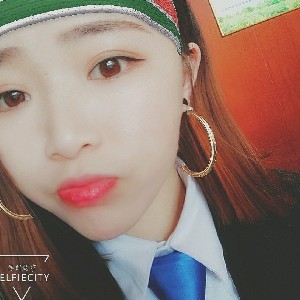 危机的母鸡