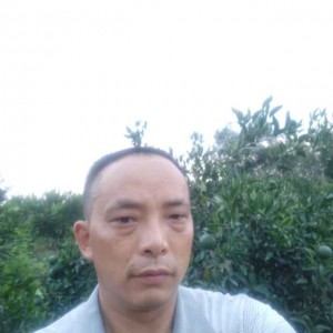 1780785