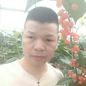 鱼儿鱼儿