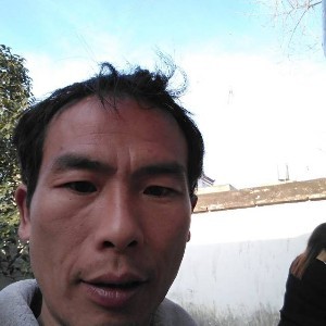 动听的草丛