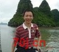 平淡的野狼
