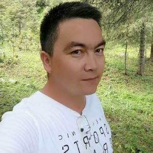 知性的金毛