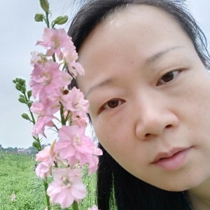 风自在