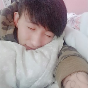 平淡的老鼠