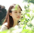 仙子晨