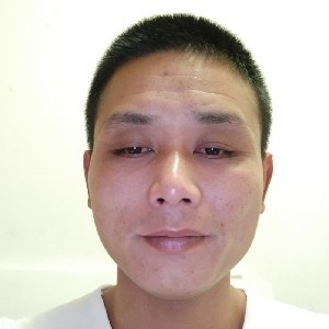 时尚的斑马