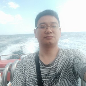 精明的菠萝