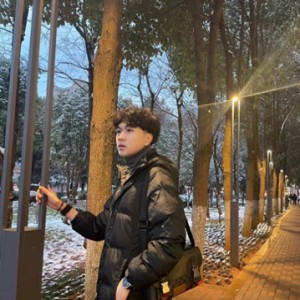 丽哈