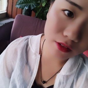 南方燕子