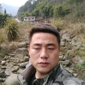 迷路的柠檬草