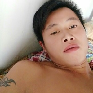 贤惠的洋葱